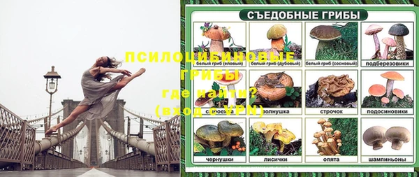 кокаин колумбия Богданович