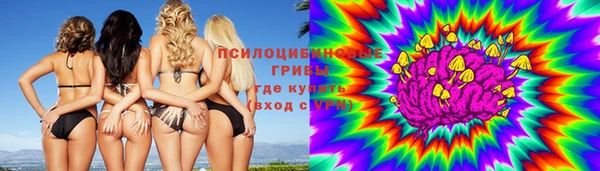 МДПВ Богородск