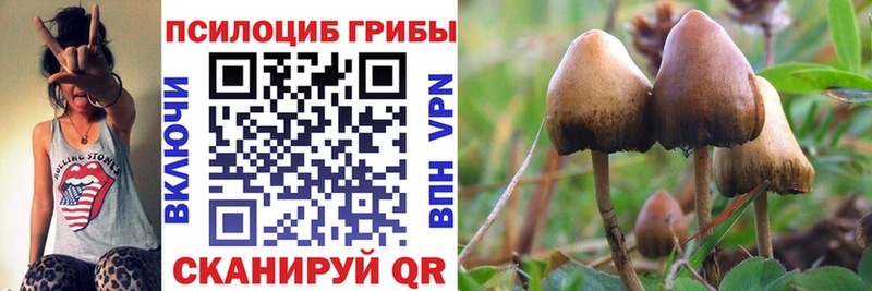 Галлюциногенные грибы MAGIC MUSHROOMS  что такое   Кирс 